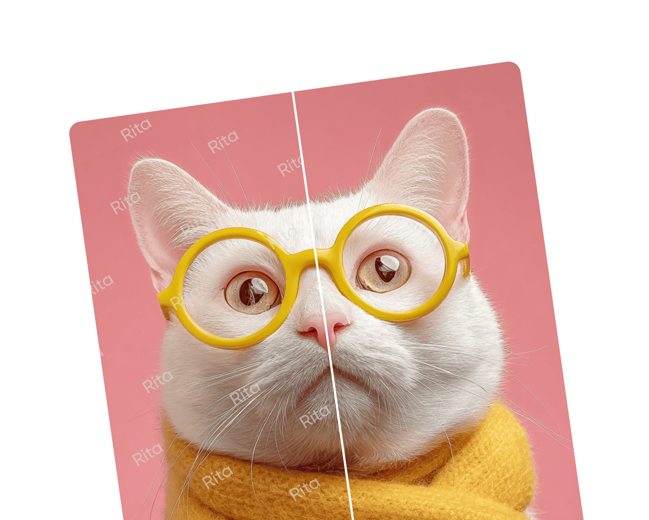 AI Watermark Remover