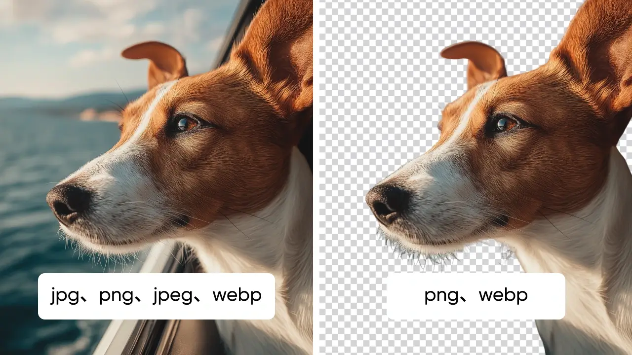 Rimuovi lo sfondo dall'immagine gratis