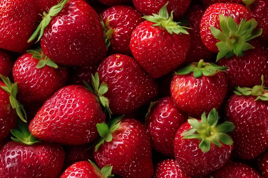 Generador de arte AI Stable Diffusion